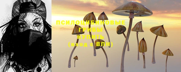 mdpv Нягань