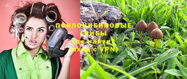 мескалин Няндома
