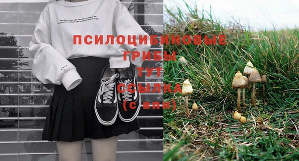mdpv Нягань