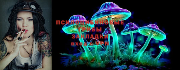 мескалин Няндома